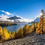 Chesa Thom - Oev Inklusive By Interhome Pontresina