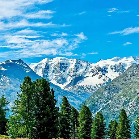 Chesa Thom - Oev Inklusive By Interhome Apartment Pontresina