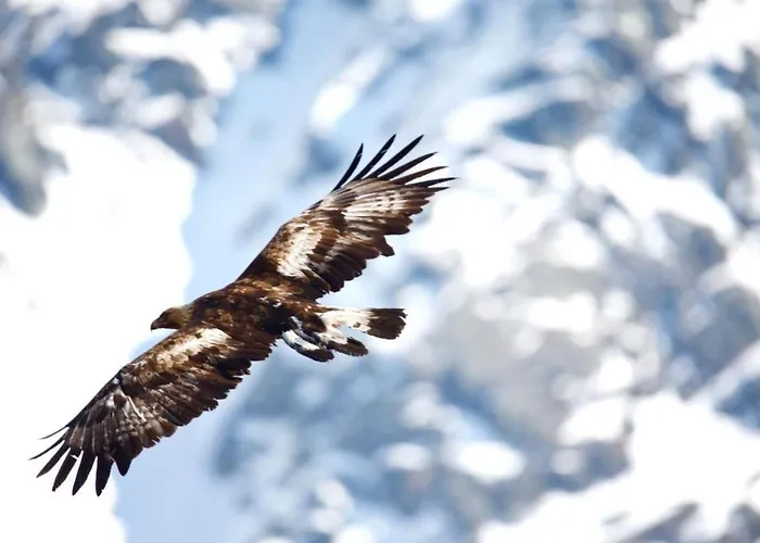 Chesa Thom - Oev Inklusive By Interhome